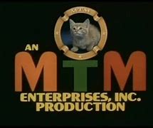 Image result for MTM Kitten