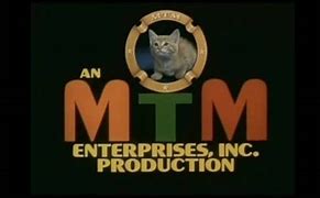 Image result for MTM Cat