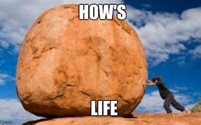 Image result for Memes About Life Struggles