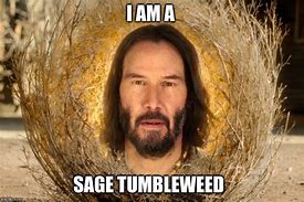 Image result for Funny Sage Meme