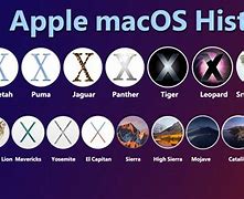 Image result for Evolution of Mac OS Logo