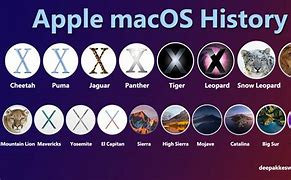 Image result for Mac OS Logo Evolution