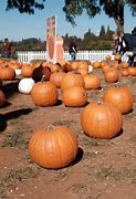 Image result for Apple Hill Map Printable