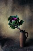 Image result for Still Life Free Stock Photo