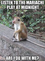 Image result for Silence Monkey Meme