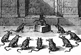 Image result for NYC Rats Run the City Meme