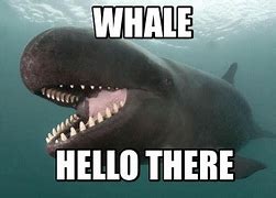 Image result for Whale Wars Meme