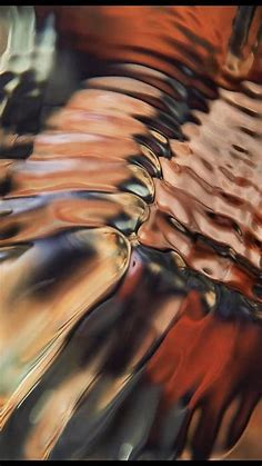 Macro photography discovers detailed patterns of butterfly wings shot by chris perani – Artofit