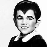 Image result for Eddy Munster Hair Cut