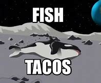 Image result for Fish Taco Meme