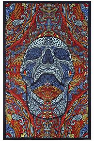 Image result for Psychedelic Skull