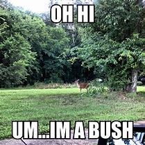 Image result for Funny Hunting Memes