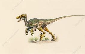 Image result for Feathered Dromaeosaurus
