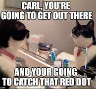 Image result for Red Dot Cat Meme