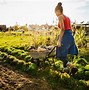 Image result for Small Farm Land