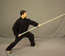 Image result for 13 Postures Tai Chi Chuan