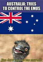 Image result for Australia Beach Meme