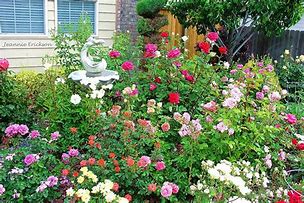 Image result for 13 Golden Rose Gardens Halfway Gardens