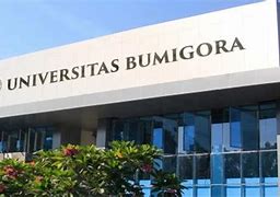 Image result for Lambang Universitas Bumigora