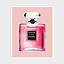 Image result for Coco Chanel Pink Cover