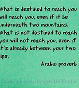 Image result for Arabic Proverbs