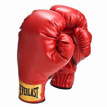 Image result for Boxing Gear