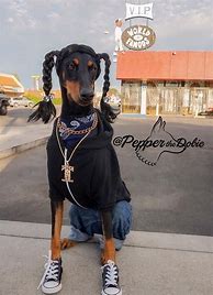 Image result for Snoop Dog Costume