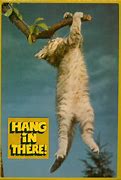Image result for Poster Clips for Hanging