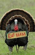 Image result for Do What to the Turkey Memes