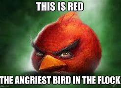 Image result for Red Bird Meme