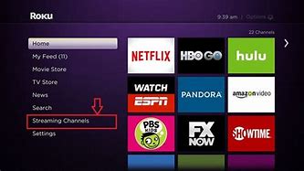 Image result for Login to Amazon Prime Video On Roku TV
