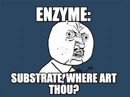 Image result for Enzyme Meme