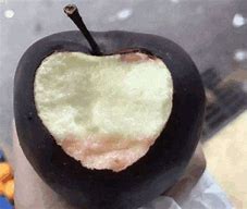 Image result for Australian Black Apple