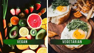 Image result for Difference Between Vegan and Vegetarian Diets