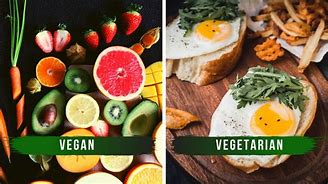 Image result for Difference Between Vegan and Vegetarian Diets