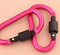 Image result for Small Carabiner