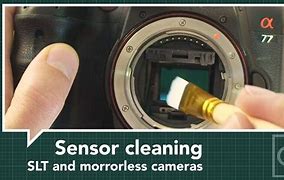 Image result for How to Clean a Sony Alpha 350K