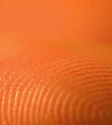 Image result for 3D Fingerprint