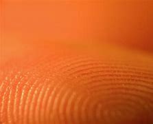 Image result for Fingerprint Blown Up