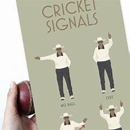 Image result for Cricket Signals