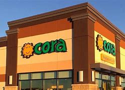 Image result for cora