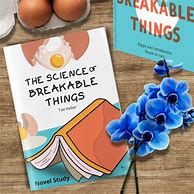 Image result for The Science of Breakable Things