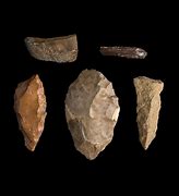 Image result for Ancient Egyptian Farming Tools