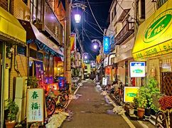 Image result for Japanese Buidling in City