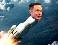 Image result for Elon Musk Meme