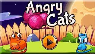 Image result for Angry App.Cat