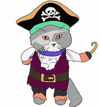 Image result for Pirate Cat Boy
