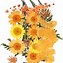 Image result for Dried Flower Clear