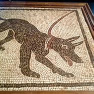Image result for Pompeii Dog Mosaic