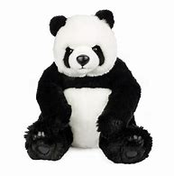 Image result for Panda Bear Toy